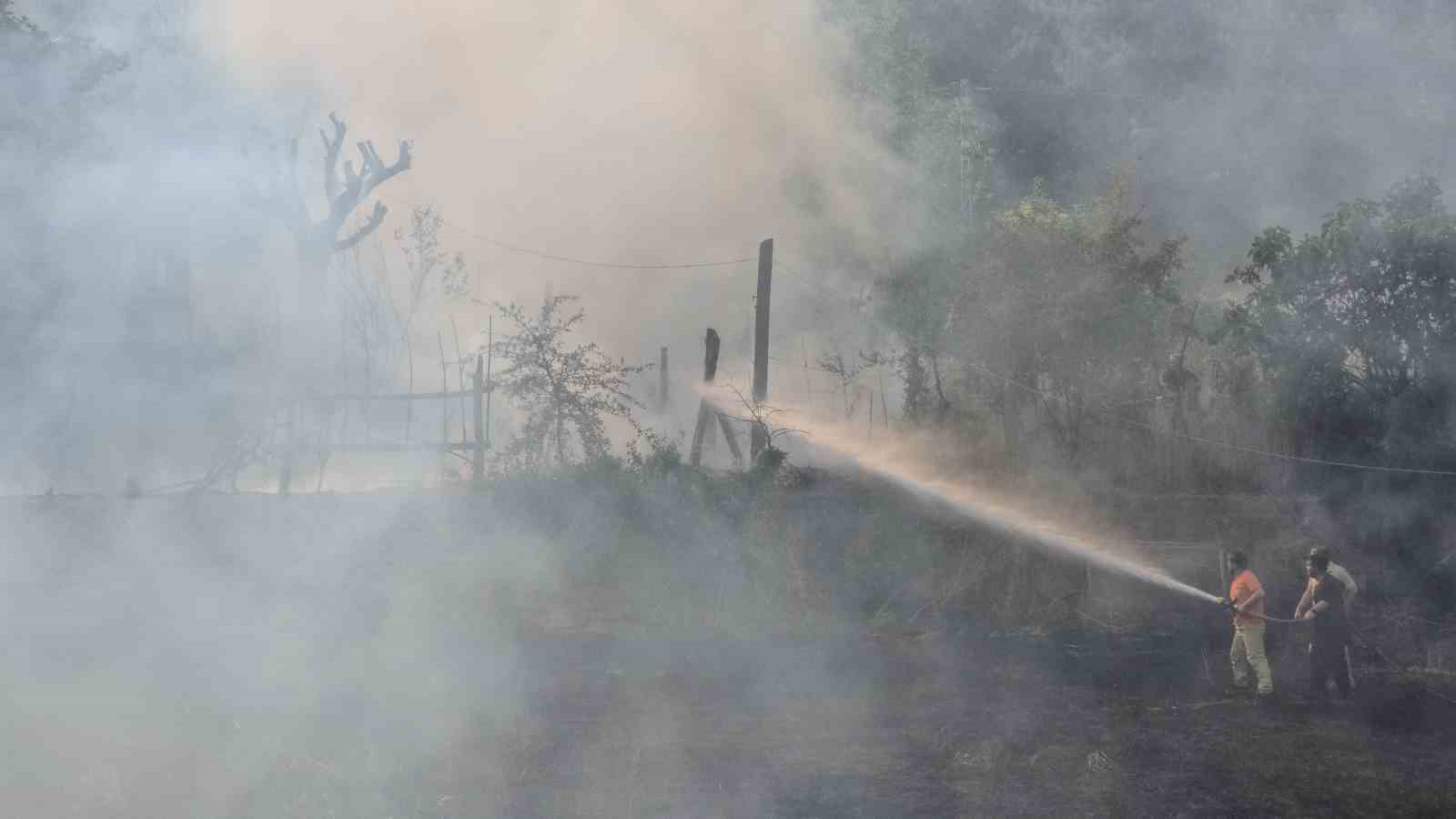 jandarma alevlerin arasindaki kaplumbaga ve yavrularini kurtardi 11 3bnICON8