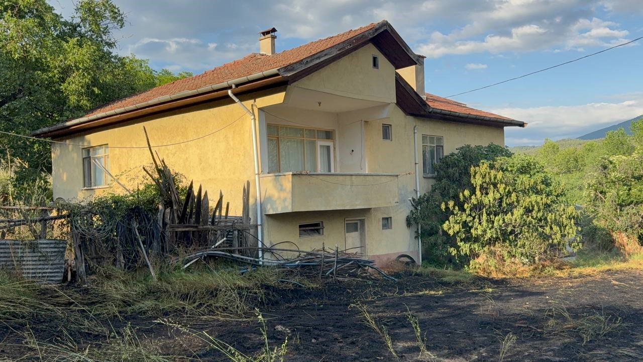Jandarma, alevlerin arasındaki kaplumbağa ve yavrularını kurtardı 6 jandarma alevlerin arasindaki kaplumbaga ve yavrularini kurtardi 2