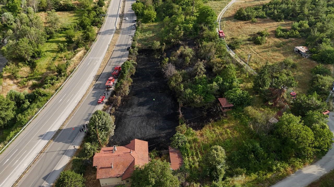 Jandarma, alevlerin arasındaki kaplumbağa ve yavrularını kurtardı 8 jandarma alevlerin arasindaki kaplumbaga ve yavrularini kurtardi 4 ephJayuS