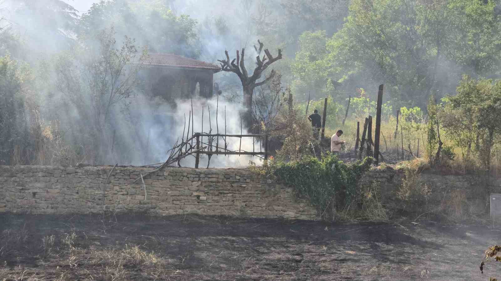 Jandarma, alevlerin arasındaki kaplumbağa ve yavrularını kurtardı 9 jandarma alevlerin arasindaki kaplumbaga ve yavrularini kurtardi 5 1g3jwTDY