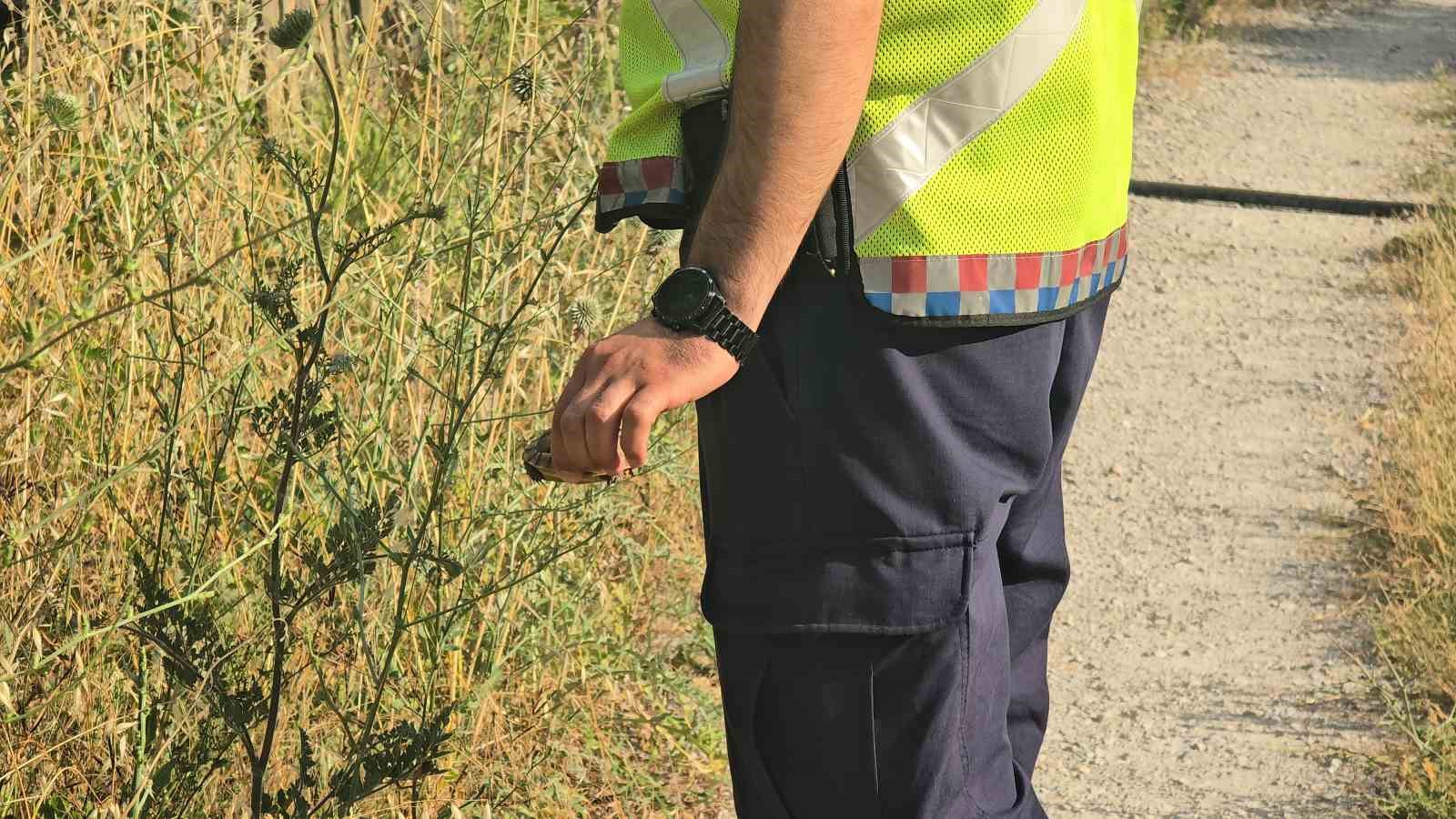 Jandarma, alevlerin arasındaki kaplumbağa ve yavrularını kurtardı 13 jandarma alevlerin arasindaki kaplumbaga ve yavrularini kurtardi 9 2gCdwDNq