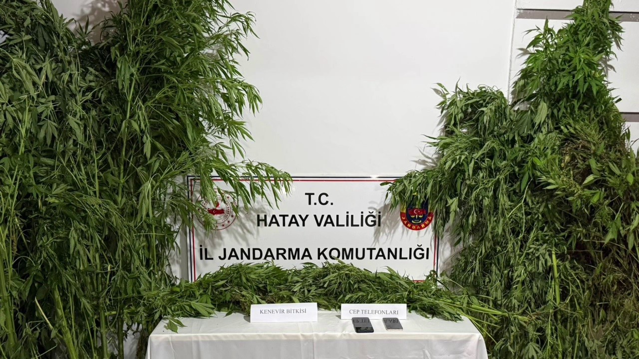 Jandarma ekiplerinden uyuşturucu yetiştirilen seraya operasyon 6 jandarma ekiplerinden uyusturucu yetistirilen seraya operasyon 2 3NfVaamD