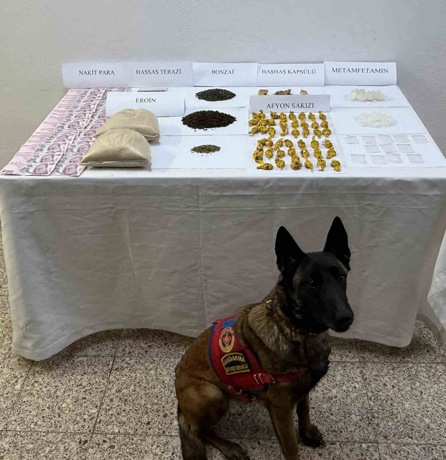jandarma ekiplerinden uyusturucuya gecit yok 1 hTkls6DQ
