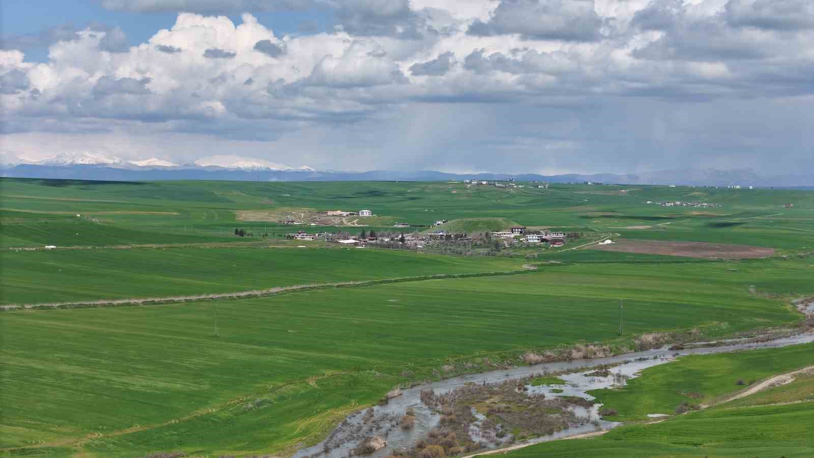 jandarma esliginde ektigi 250 donum tarla iddiaya gore akrabalari tarafindan ilaclanarak kurutuldu 1 PJDAk8dr