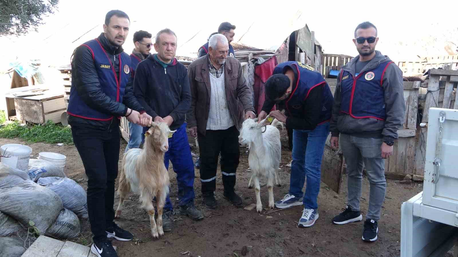 Jandarma kayıp 5 koyun için 3 iş yeri ve 9 meskene ait toplam 24 saatlik güvenlik kamerasını saniye saniye inceledi 5 jandarma kayip 5 koyun icin 3 is yeri ve 9 meskene ait toplam 24 6HQLpWB7