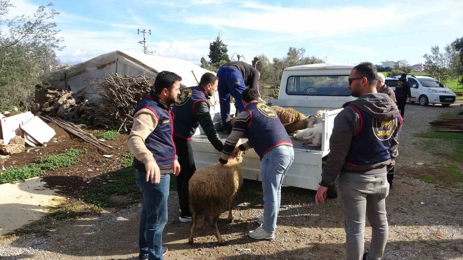 Jandarma kayıp 5 koyun için 3 iş yeri ve 9 meskene ait toplam 24 saatlik güvenlik kamerasını saniye saniye inceledi 12 jandarma kayip 5 koyun icin 3 is yeri ve 9 meskene ait toplam 24 MQO14uW8