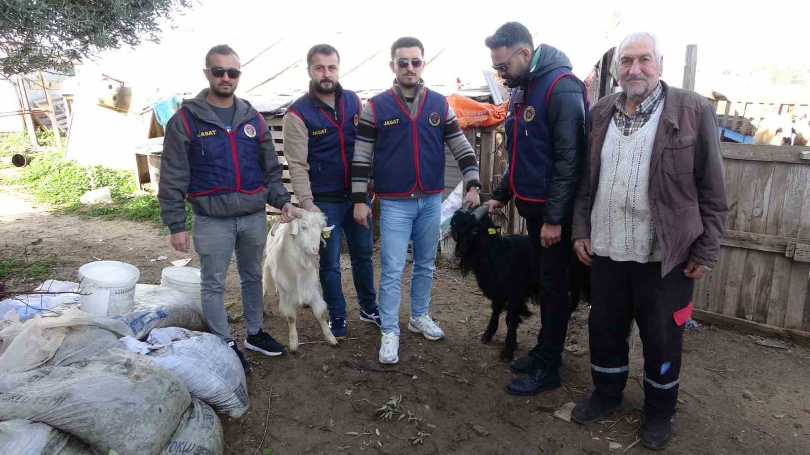Jandarma kayıp 5 koyun için 3 iş yeri ve 9 meskene ait toplam 24 saatlik güvenlik kamerasını saniye saniye inceledi 8 jandarma kayip 5 koyun icin 3 is yeri ve 9 meskene ait toplam 24