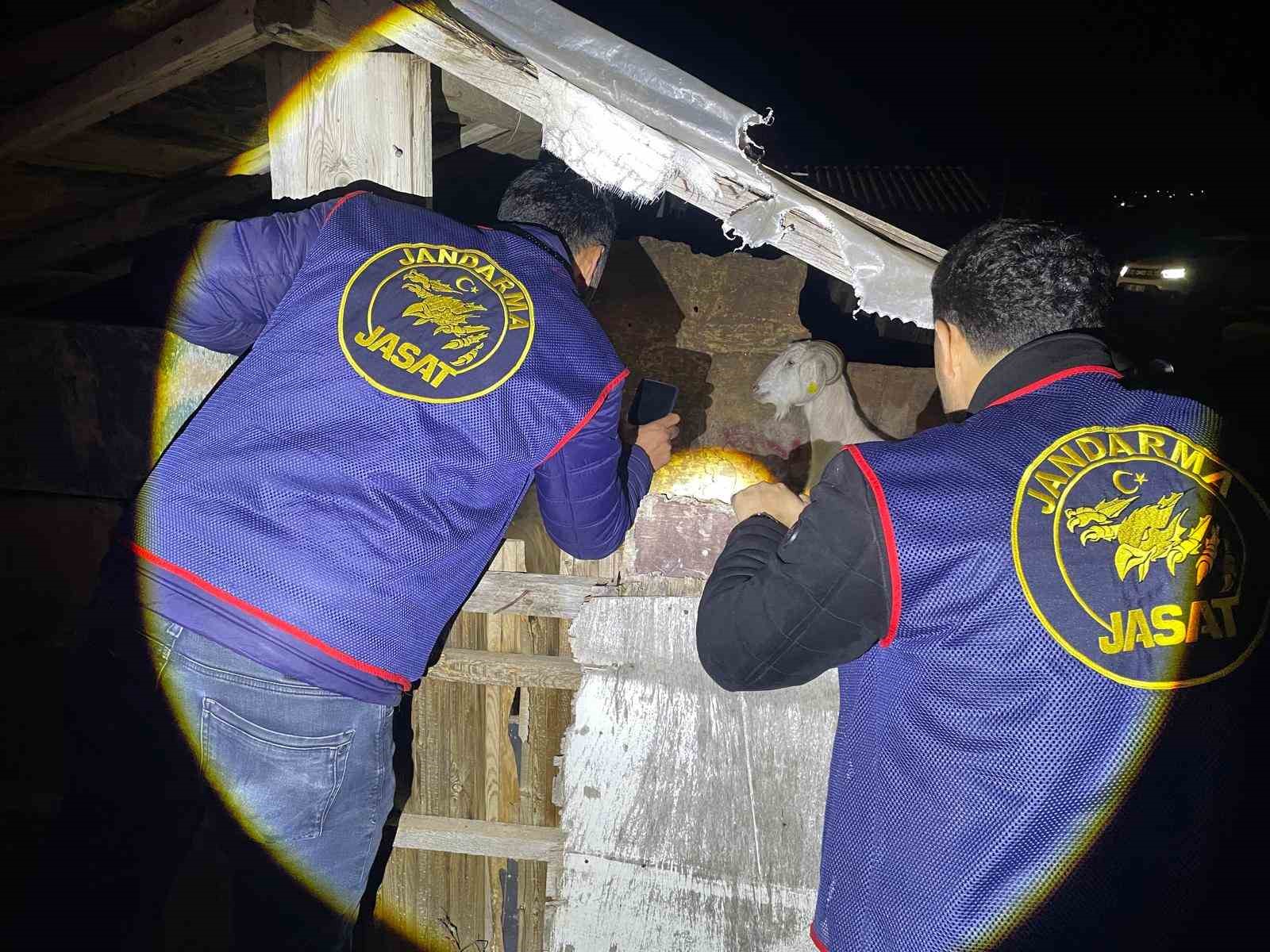 Jandarma kayıp 5 koyun için 3 iş yeri ve 9 meskene ait toplam 24 saatlik güvenlik kamerasını saniye saniye inceledi 4 jandarma kayip 5 koyun icin 3 is yeri ve 9 meskene ait toplam 24 RNcvUh7q