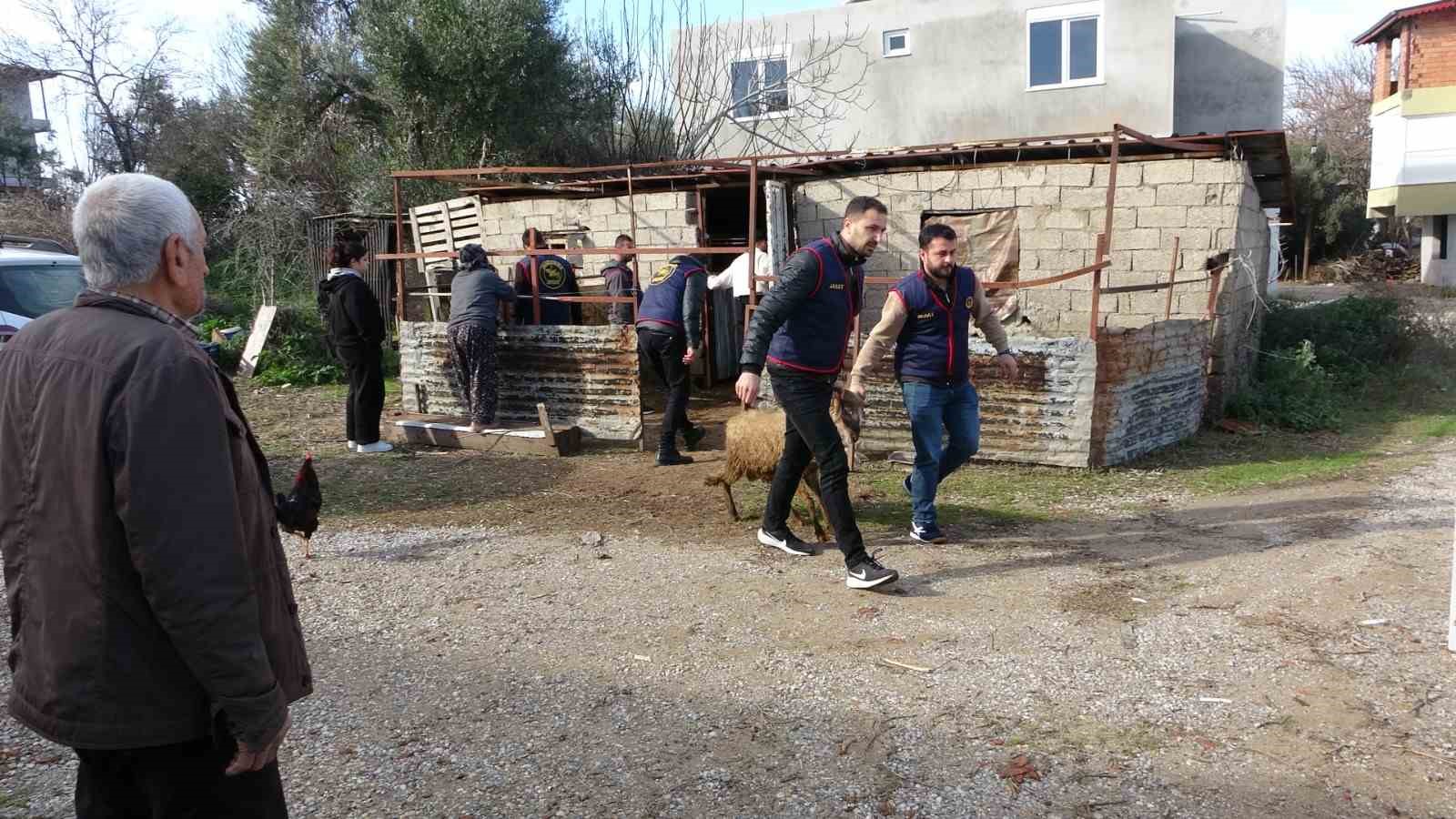 Jandarma kayıp 5 koyun için 3 iş yeri ve 9 meskene ait toplam 24 saatlik güvenlik kamerasını saniye saniye inceledi 11 jandarma kayip 5 koyun icin 3 is yeri ve 9 meskene ait toplam 24 Tjdjkp7f