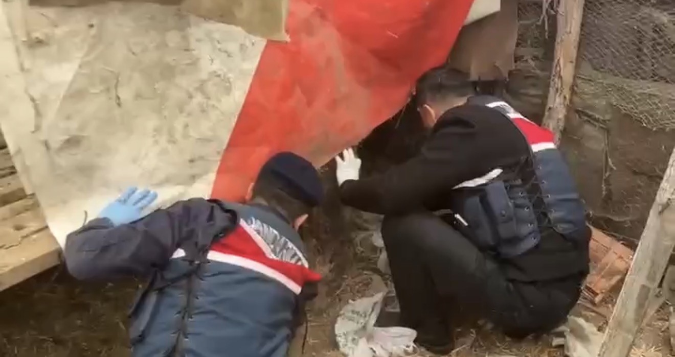 jandarma kumese saklanan uyusturucuyu ele gecirdi 2 gozalti 0 yftK7tqZ