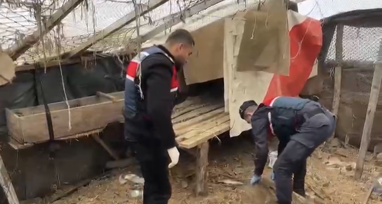 jandarma kumese saklanan uyusturucuyu ele gecirdi 2 gozalti 2 mfWTf2fY