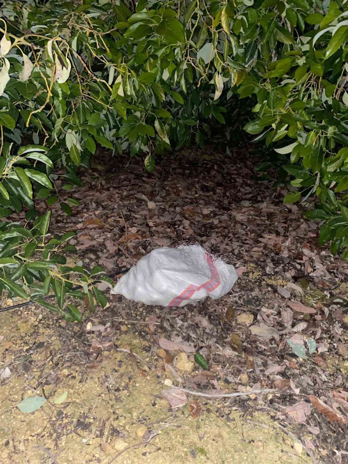 jandarmayi gorunce caldiklari avokadolari birakip kactilar 9 kgpHX7kC