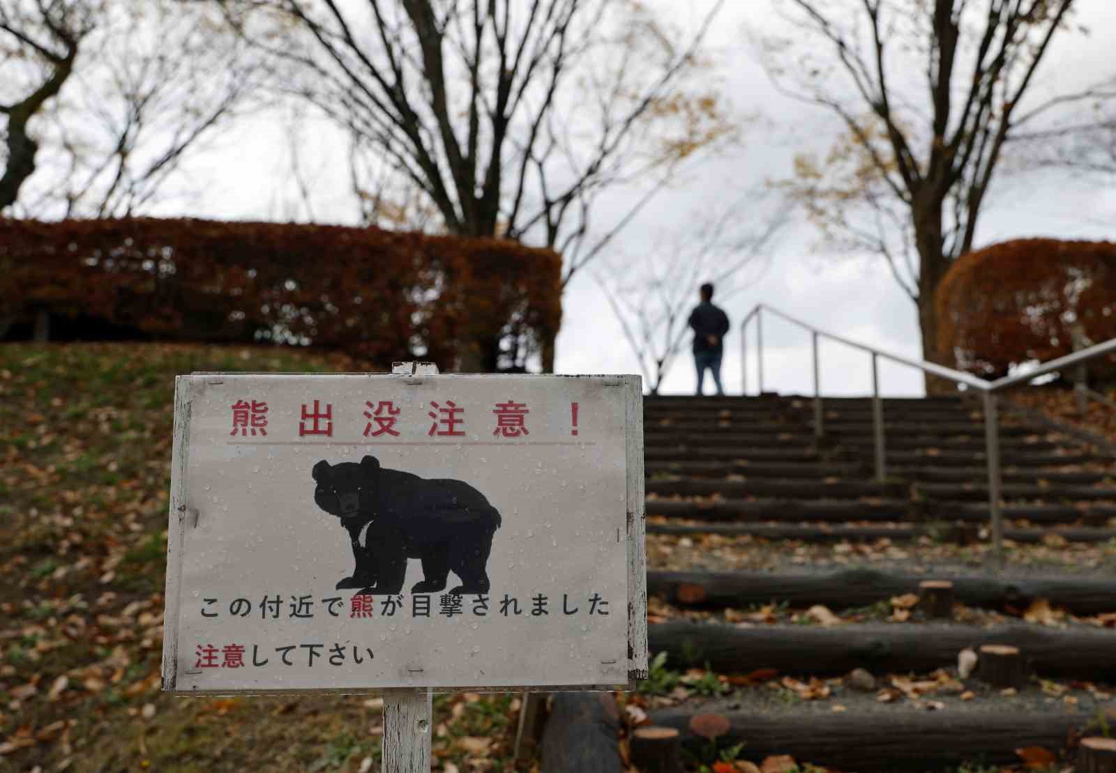 japon firmadan turizm isletmelerine ayi sigortasi hizmeti 1 r731U6d7