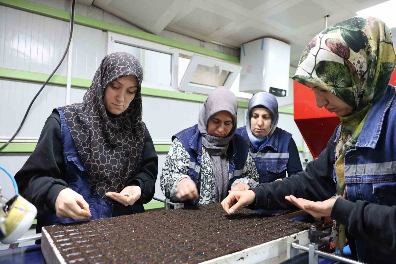 jeotermal tesiste uretilen cicekler kentin renklenmesinde onemli rol aliyor 2 5EUDagP3