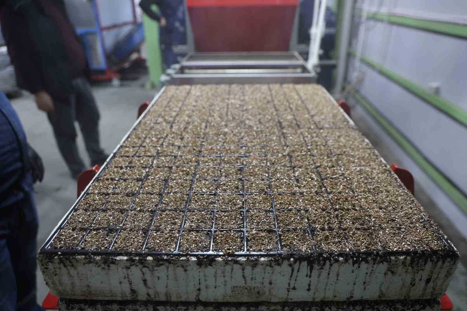 jeotermal tesiste uretilen cicekler kentin renklenmesinde onemli rol aliyor 3 a9BP4H7k