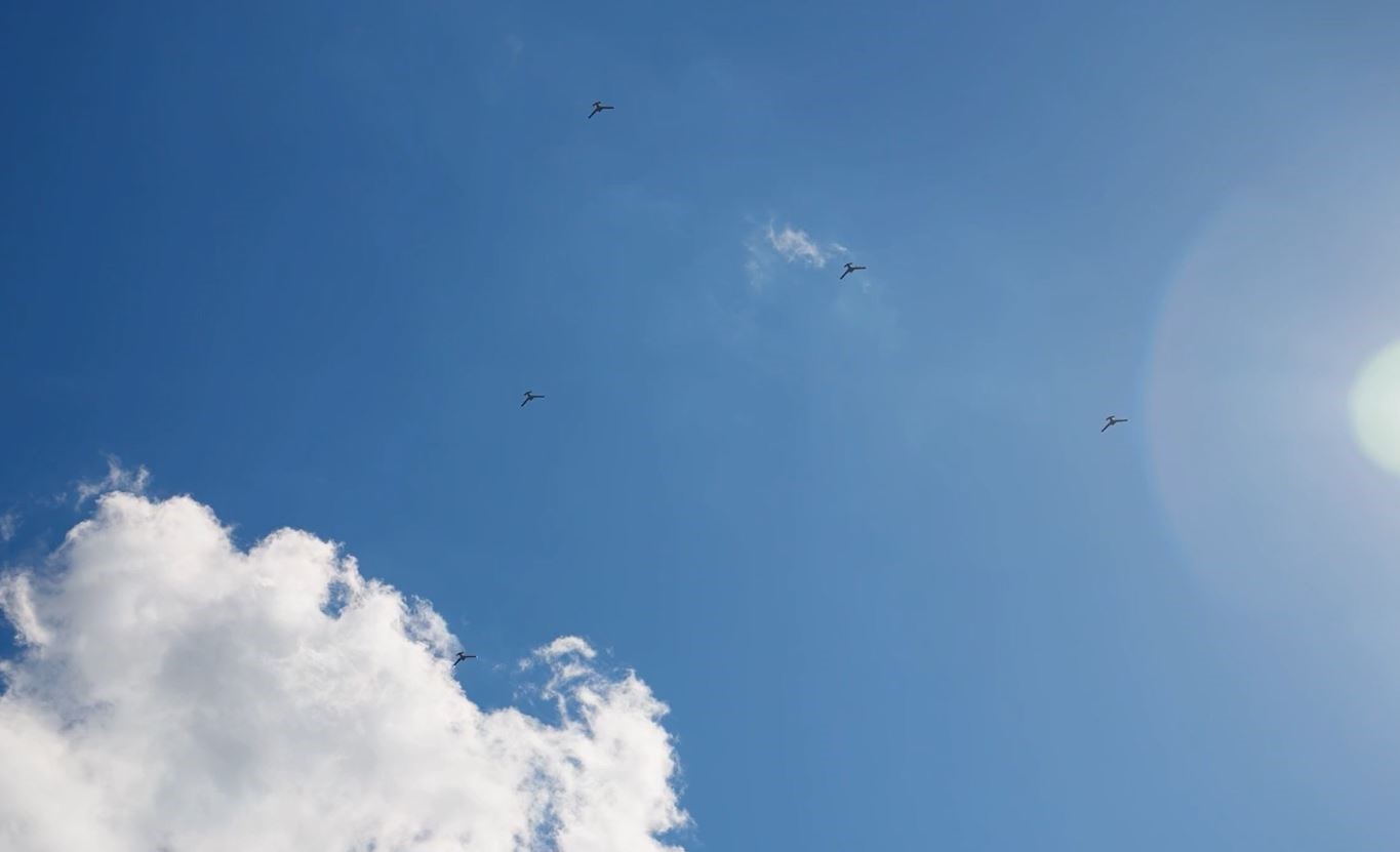 K2 Kamikaze İHA, Yapay Zeka Otonom Sürü Uçuş ve Hava Devriye testini başarıyla tamamladı 5 k2 kamikaze iha yapay zeka otonom suru ucus ve hava devriye testini basariyla tamamladi kvV742Iy