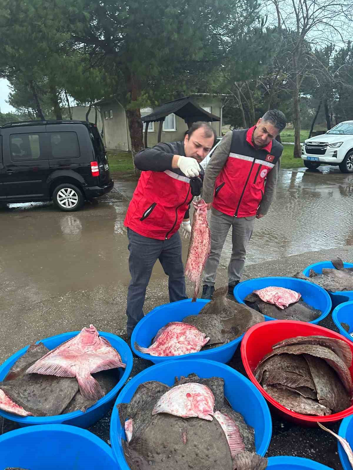 kacak avcilik operasyonunda 500 kalkan baligina el konuldu 1 CrX2ITzw