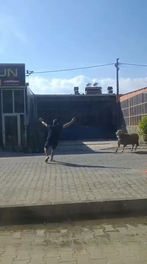kacan kurbanlik kocu esnaf yakaladi 0 htelmcIb