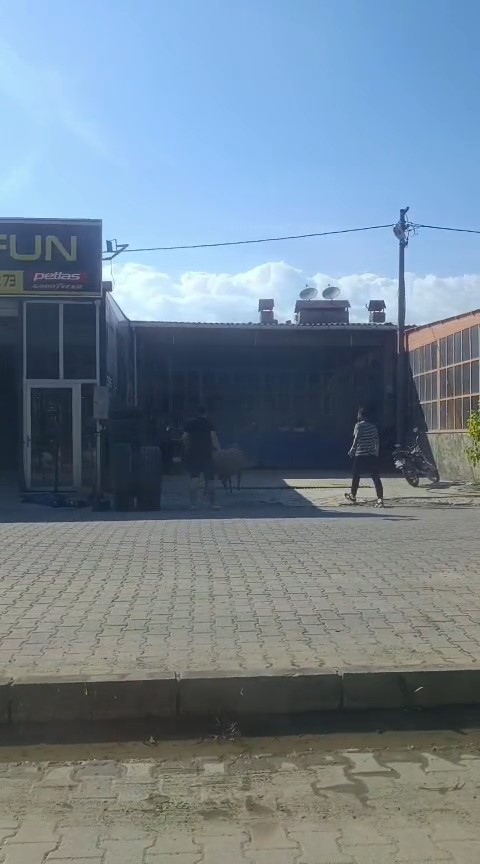 kacan kurbanlik kocu esnaf yakaladi 2 FAkYXNOI
