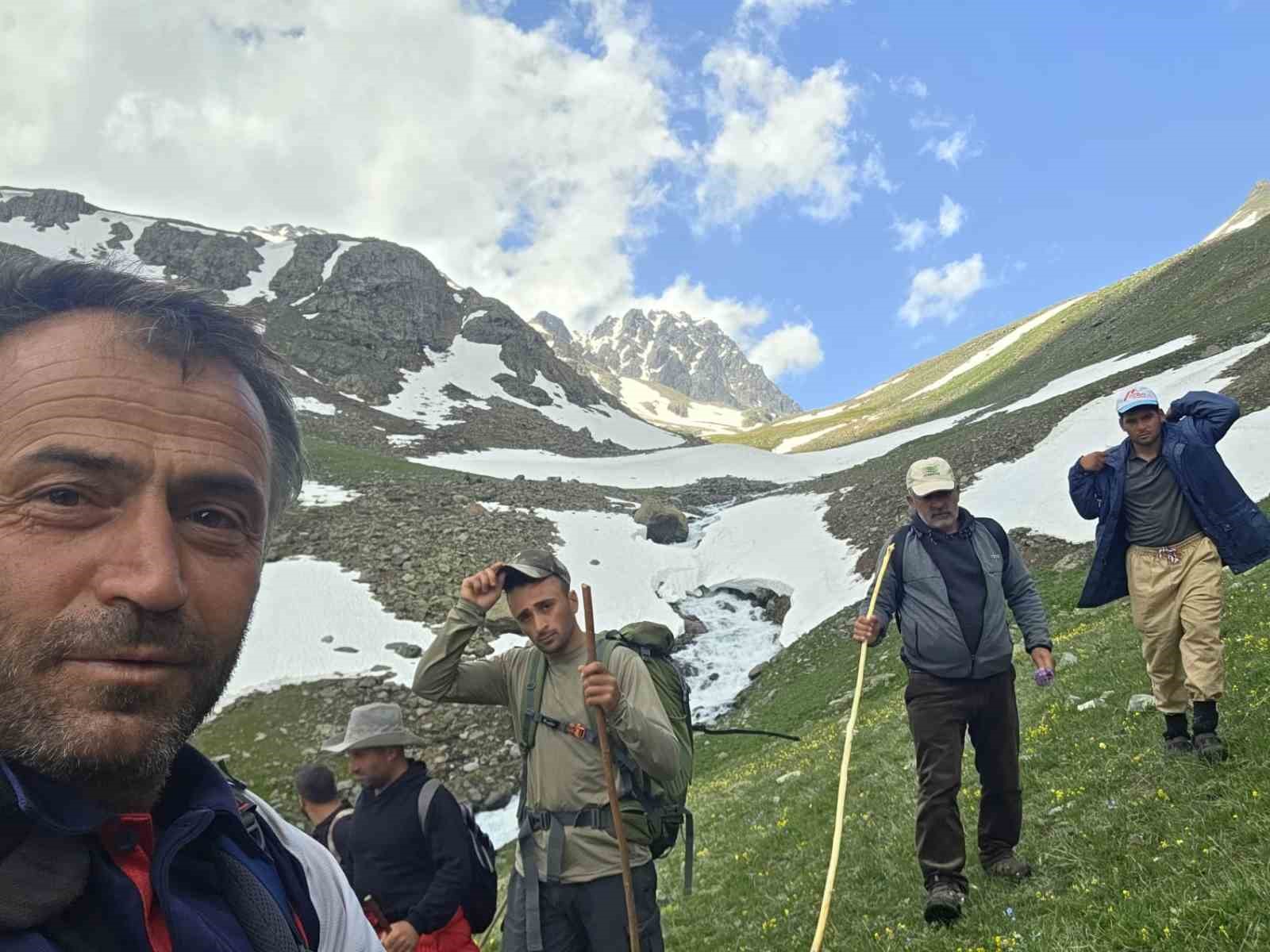 Kaçkarlar’da nefes kesen mücadele: ’Tarihi Öküz Göçü’ tamamlandı 17 kackarlarda nefes kesen mucadele tarihi okuz gocu tamamlandi 13 cGpHRabZ