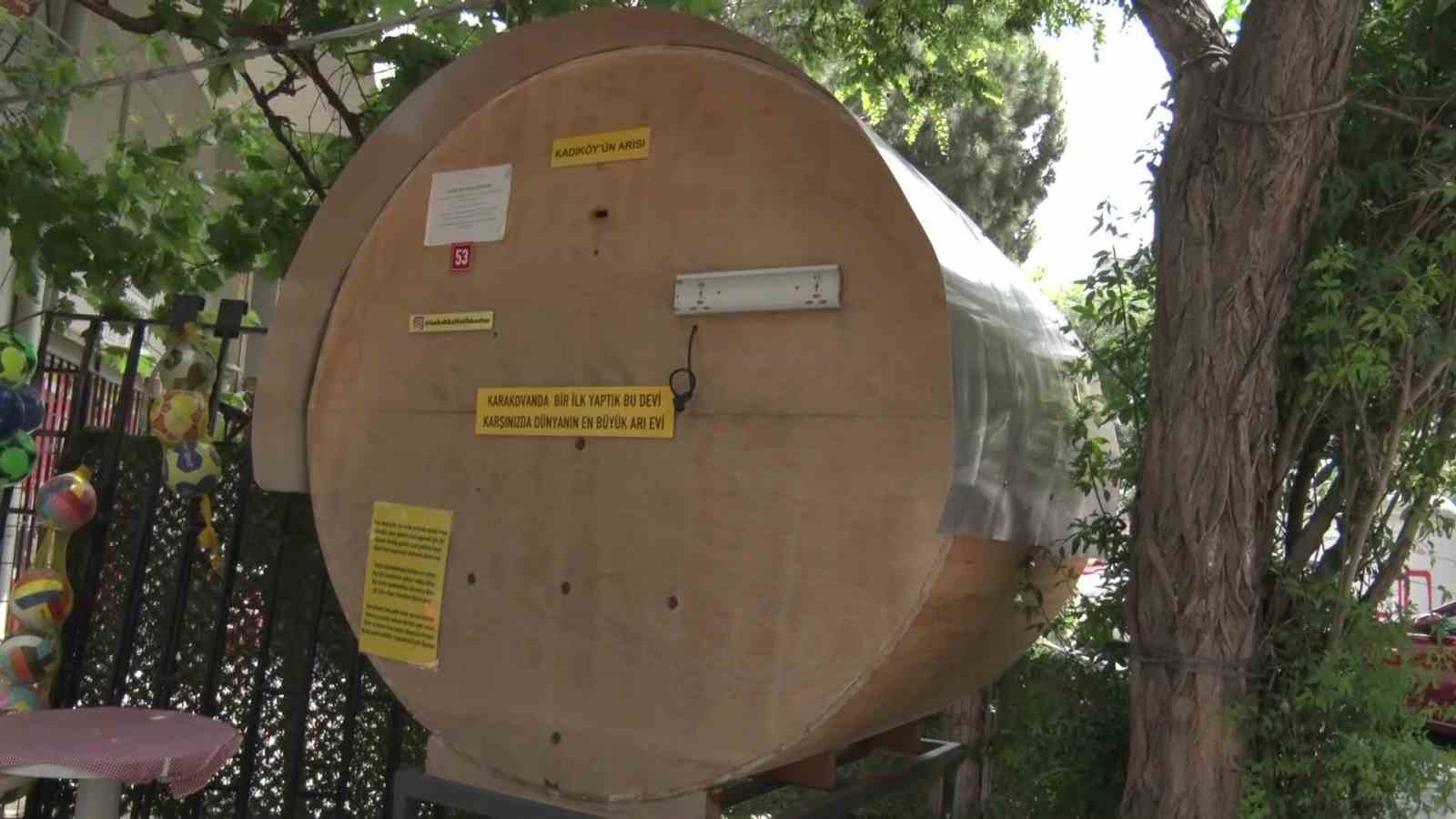 kadikoyde ilginc goruntu bakkalin onunde dev bal kovani 2 yVjzhw1y