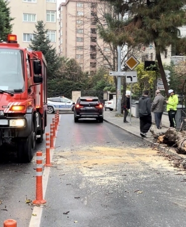kadikoyde-yola-devrilen-agac-panige-neden-oldu-NFZR9YjZ.jpg