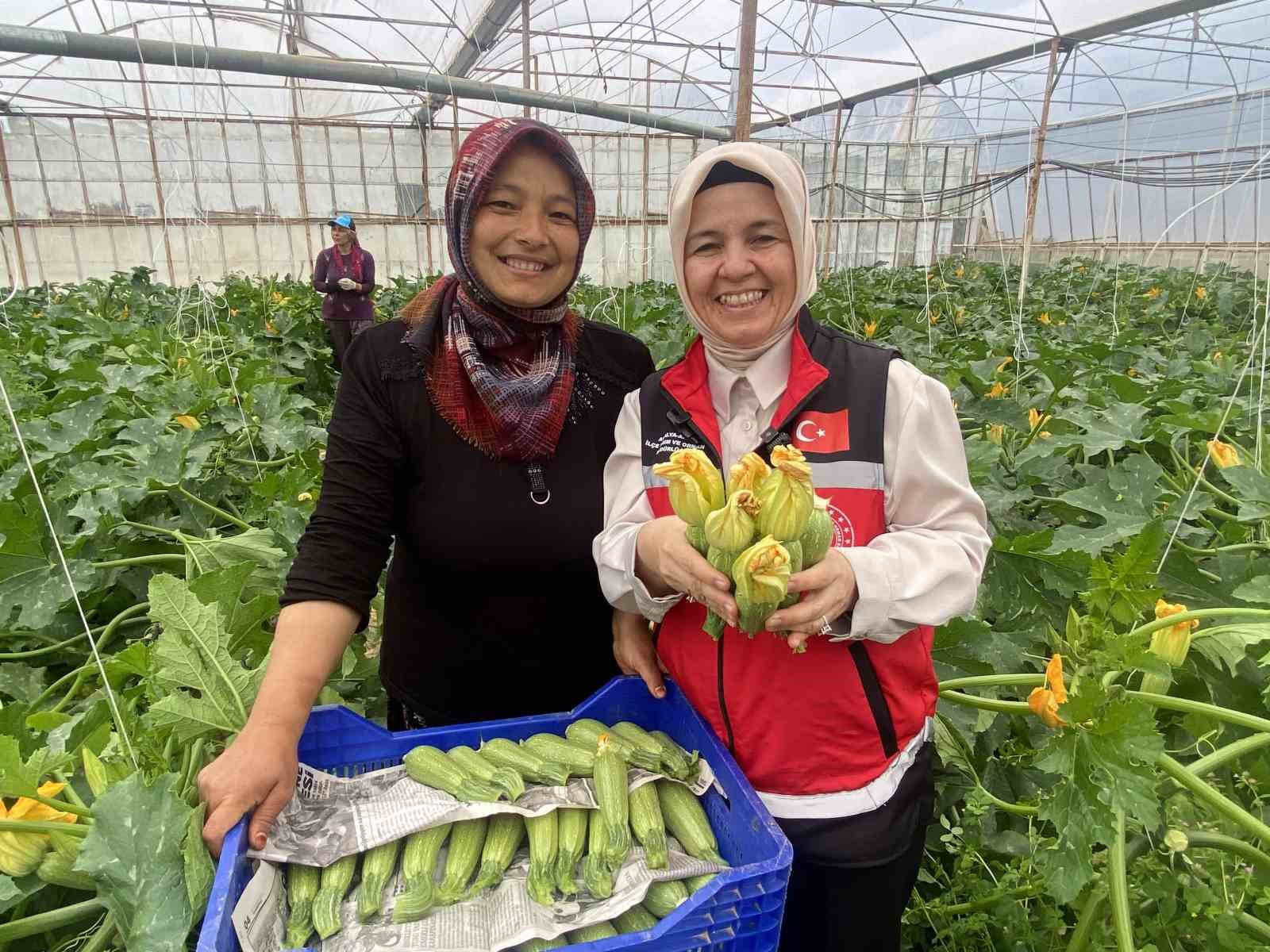 kadin ciftci hem uretiyor hem ihrac ediyor hem de pazarda satiyor 0 Y4IvbBPg