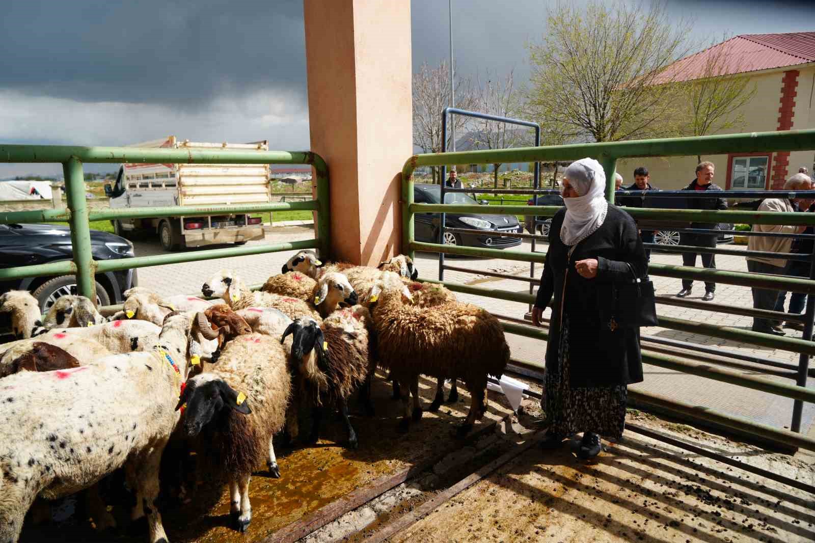 kadin ureticilere 3 bin kucukbas hayvan destegi 0 QatU3m4E