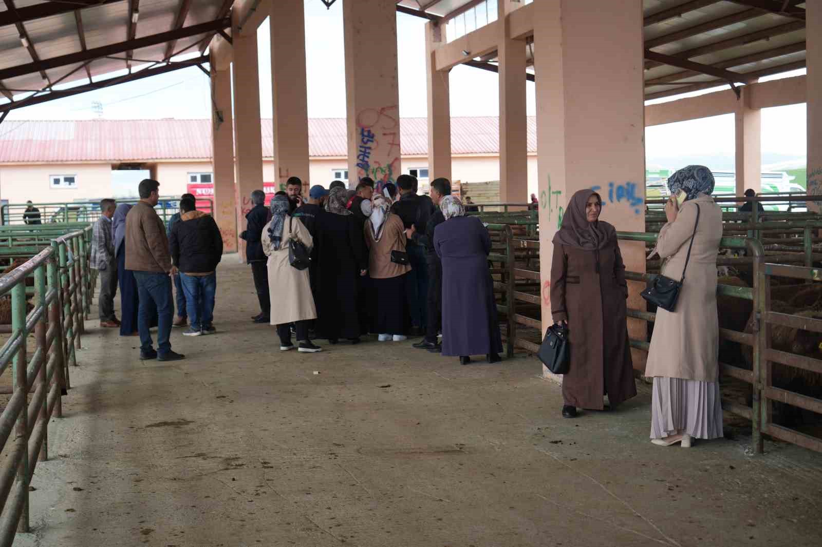 kadin ureticilere 3 bin kucukbas hayvan destegi 1