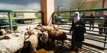 kadin-ureticilere-3-bin-kucukbas-hayvan-destegi-8sMzt6Aq.jpg
