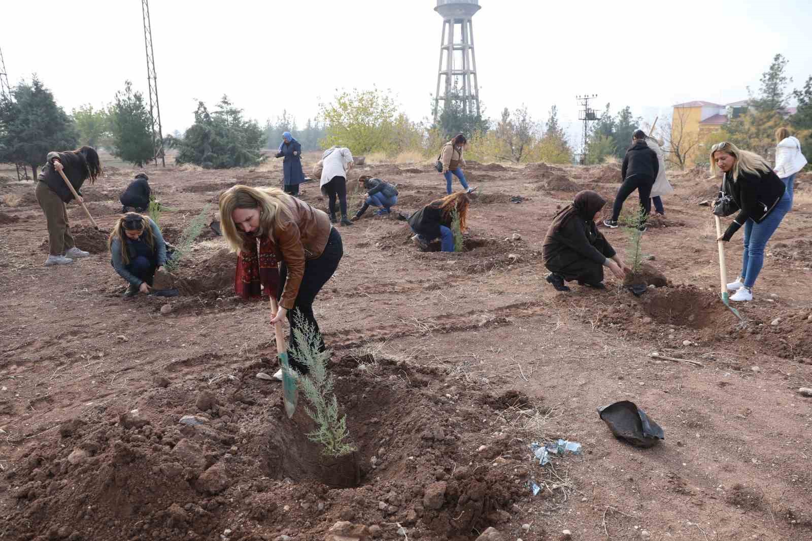 Kadına yönelik şiddete dikkat çekmek amacıyla fidan dikim etkinliği yapıldı 4 kadina yonelik siddete dikkat cekmek amaciyla fidan dikim etkinligi yapildi 0 g7sKfC7p