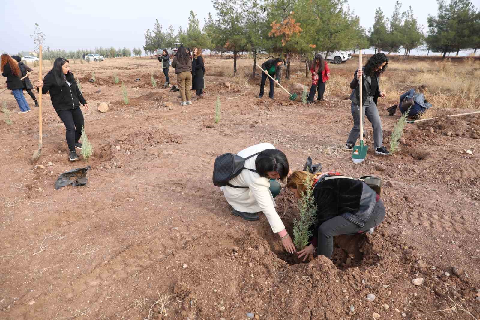 Kadına yönelik şiddete dikkat çekmek amacıyla fidan dikim etkinliği yapıldı 5 kadina yonelik siddete dikkat cekmek amaciyla fidan dikim etkinligi yapildi 1 MMCZfMWg