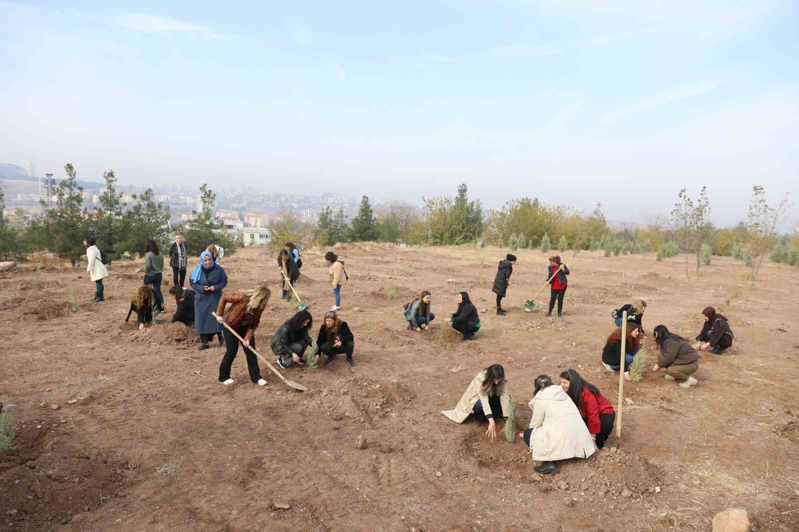 Kadına yönelik şiddete dikkat çekmek amacıyla fidan dikim etkinliği yapıldı 6 kadina yonelik siddete dikkat cekmek amaciyla fidan dikim etkinligi yapildi 2 94rQn1nU