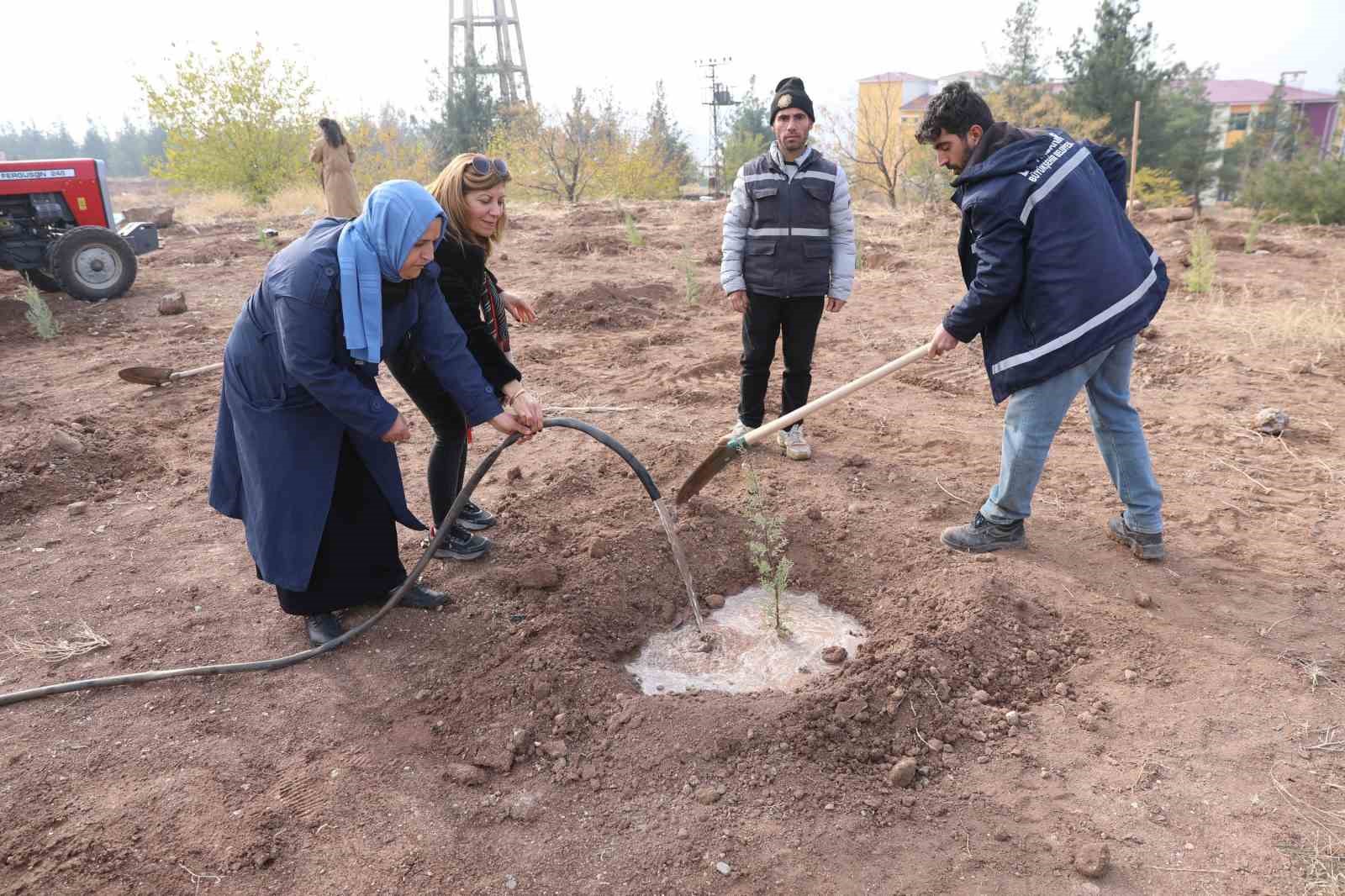 Kadına yönelik şiddete dikkat çekmek amacıyla fidan dikim etkinliği yapıldı 7 kadina yonelik siddete dikkat cekmek amaciyla fidan dikim etkinligi yapildi 3 Hjeq7f9p