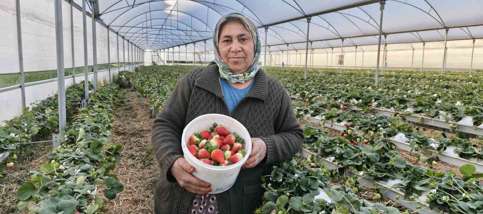 kadinlar gununu tarlada calisarak kutladilar 2 8YH62ycP