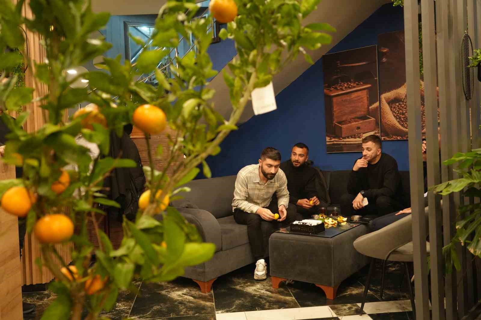 kafede mandalina yetistiriyor musterilerle paylasiyor 7 ch8bJZNe