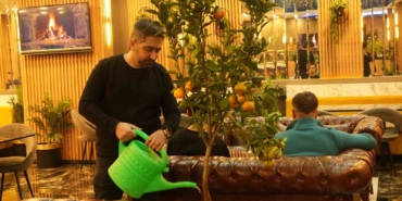 kafede-mandalina-yetistiriyor-musterilerle-paylasiyor-s6MQPrPZ.jpg