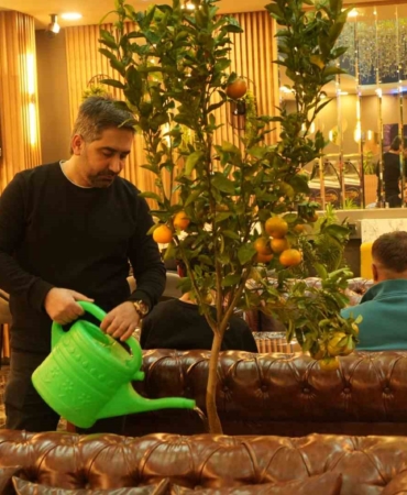 kafede-mandalina-yetistiriyor-musterilerle-paylasiyor-s6MQPrPZ.jpg