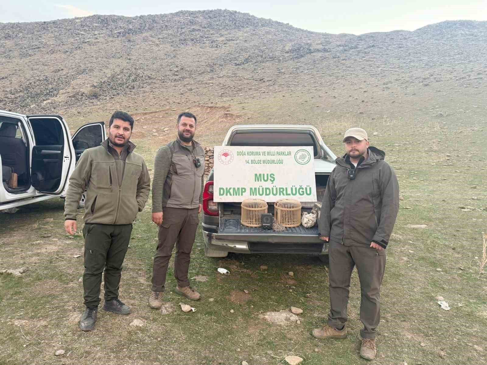 kafes avciligi yapan sahis sucustu yakalandi 20 bin tl ceza 0 1fsXHmSu