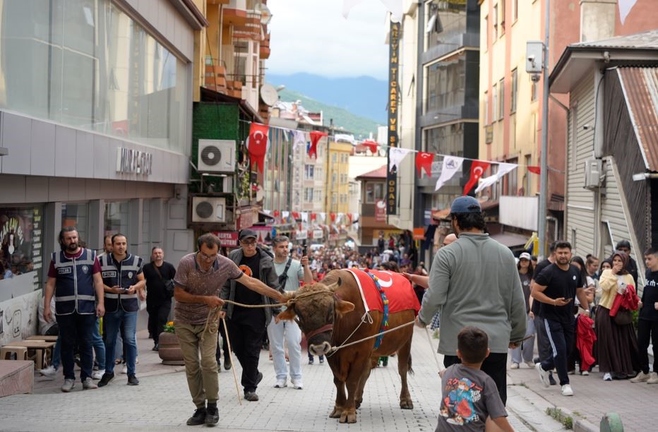 "Kafkasör Festivali" boğalı kortej yürüyüşüyle başladı 7 kafkasor festivali bogali kortej yuruyusuyle basladi 3 JS2kLN87