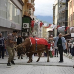 kafkasor-festivali-bogali-kortej-yuruyusuyle-basladi-uErbGDZJ.jpg