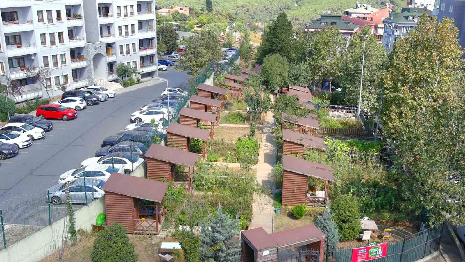 kagithane belediyesi 2026 hobi bahceleri icin basvurulari baslatti 0