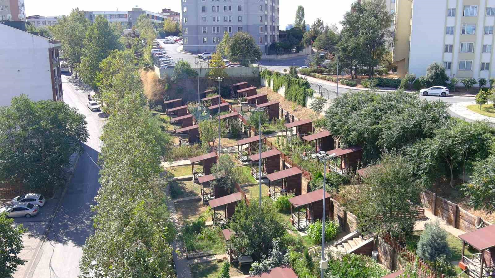 kagithane belediyesi 2026 hobi bahceleri icin basvurulari baslatti 2 78ChDuQN