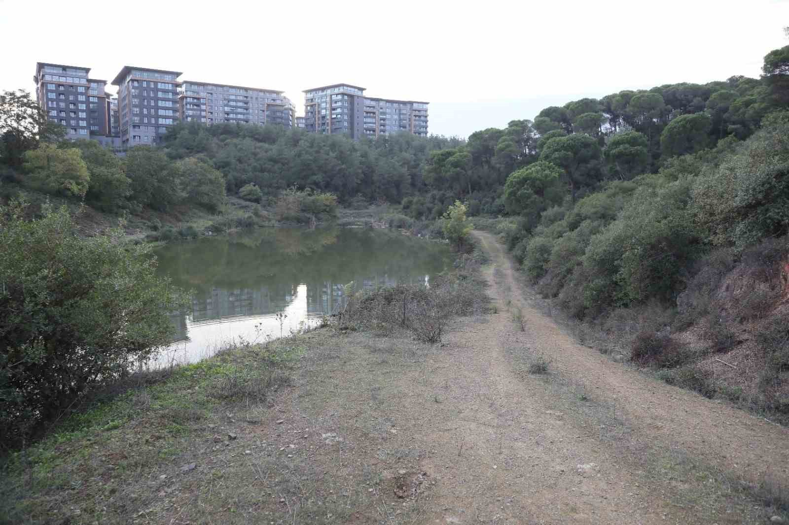 Kağıthane ’orman şehri’ oldu 8 kagithane orman sehri oldu 4 uXhniBjc