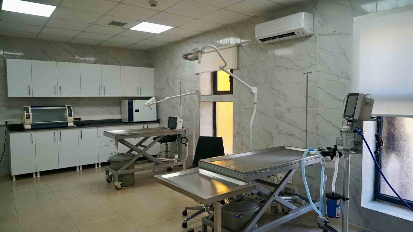 kagithanede sokak hayvanlari icin 10 donumluk dev rehabilitasyon merkezi hizmete acildi 5 puwQlAFY