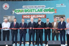kagithanede-sokak-hayvanlari-icin-10-donumluk-dev-rehabilitasyon-merkezi-hizmete-acildi-jkJpkdKd.jpg