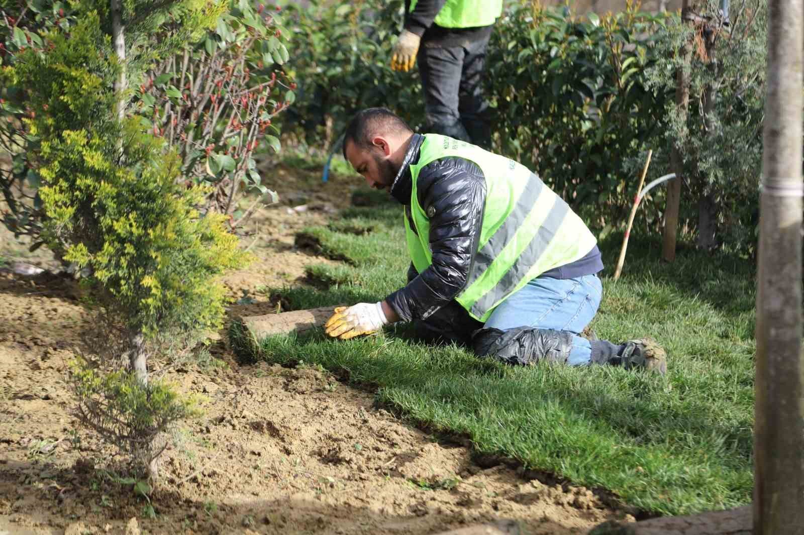 kagithanede yesil alanlarda bakim ve duzenleme calismalari suruyor 0