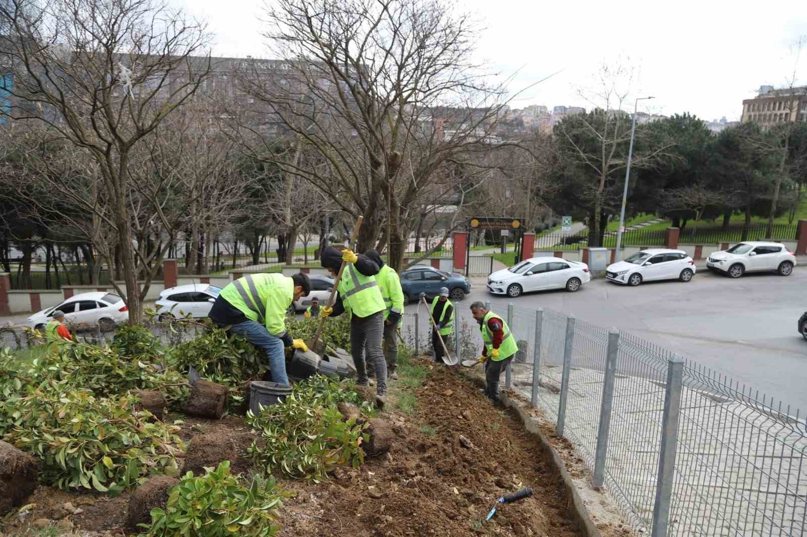 kagithanede yesil alanlarda bakim ve duzenleme calismalari suruyor 4