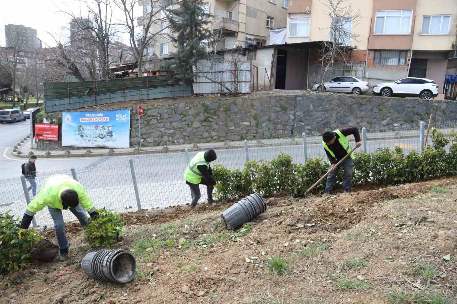 kagithanede yesil alanlarda bakim ve duzenleme calismalari suruyor 6 q9rX7Xv3
