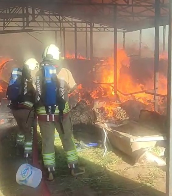 kahramanmarasta ahir yangini korkuttu 3 Ur3hwHYe